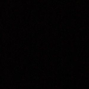 Meet your Posher, Hayley